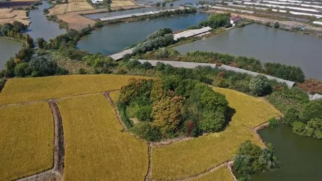 800平米、32个探方：繁昌神墩头遗址考古发掘启动