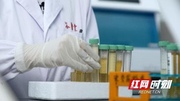 身体好不好 尿液先知道！ 尿液精准检测实现健康精准管理