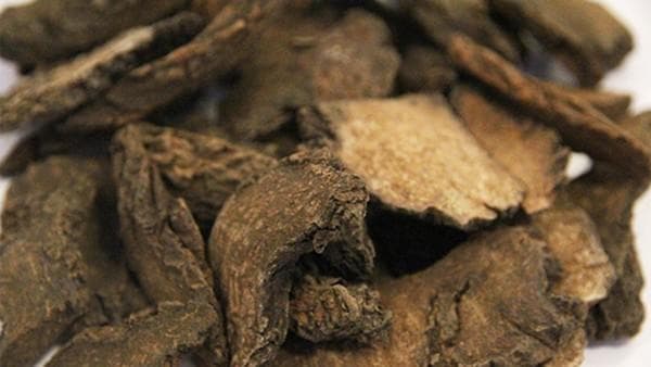 肉苁蓉的功效与作用：传统应用与现代研究