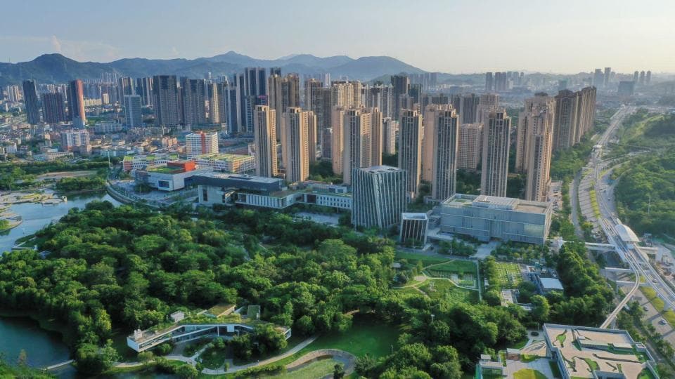 特报特观｜投资兴业热潮涌动的背后，坪山做对了什么？