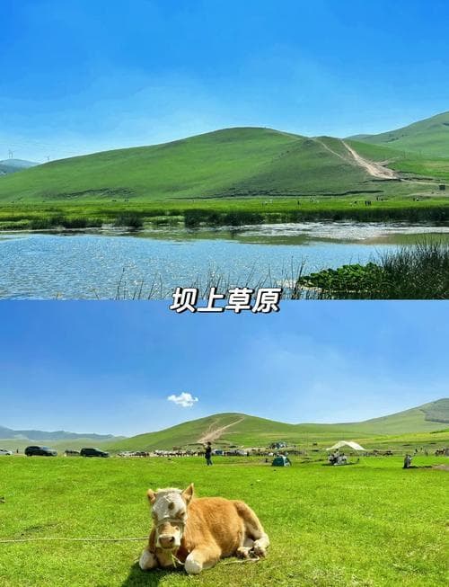 探索浙江三日自驾游：从杭州到乌镇，尽享美景与美食