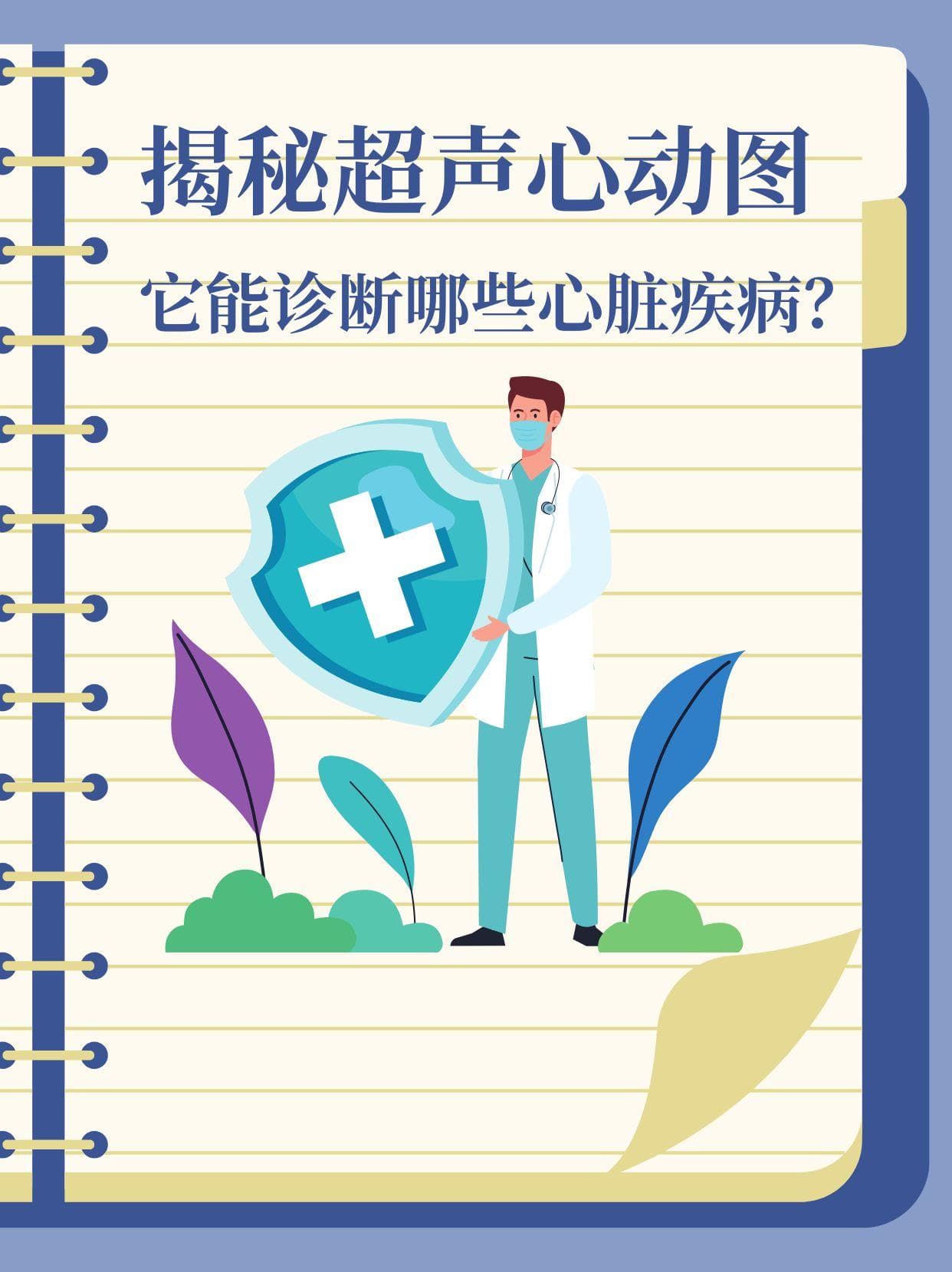 超声心动图：心脏健康的“透视镜”