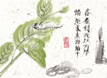 “春蚕到死丝方尽”：从爱情诗到教师赞歌的演变