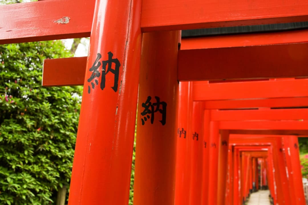 为什么日本人会选择左驾车型？