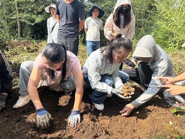 农民变股民 云南彝良宝藏村激活乡村生态资源