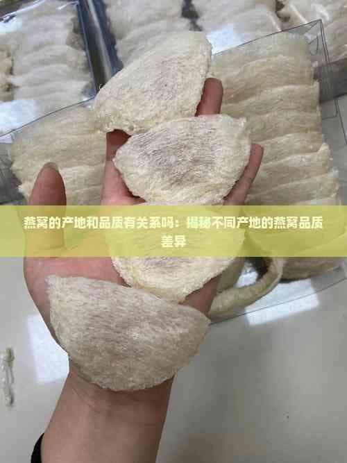 燕窝的产地和品质有关系吗：揭秘不同产地的燕窝品质差异