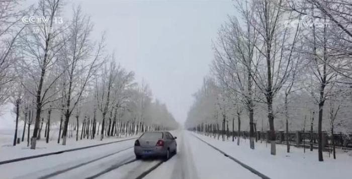 一夜返冬！河北多地现罕见春雪，局地积雪达32厘米