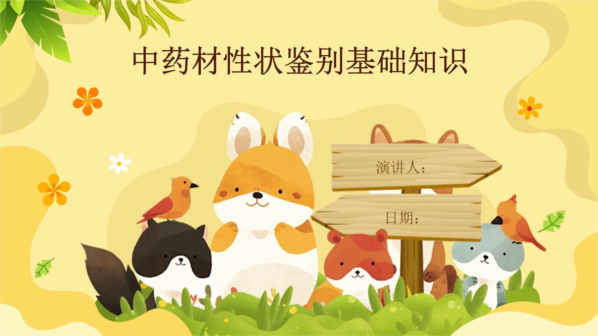 中药材性状鉴别基础知识