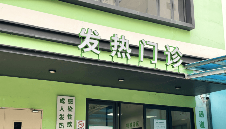 家养鹦鹉竟成"传染源"，幸亏医生多问了一句