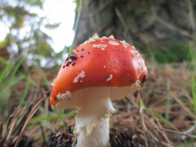 千里眼和顺风耳的传说故事_千里眼和顺风耳的神话故事