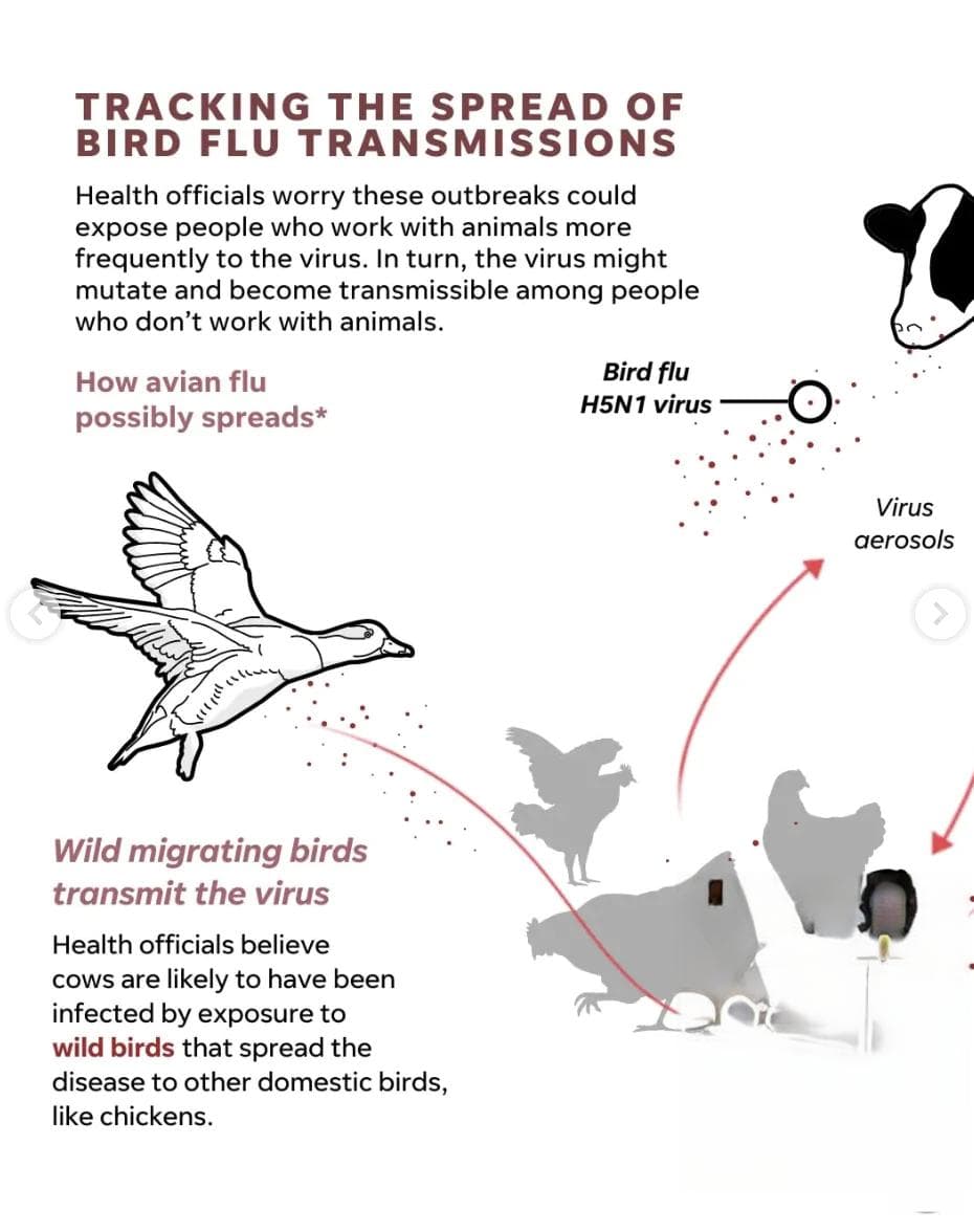 美国首现H5N1重症病例，禽流感会爆发吗？