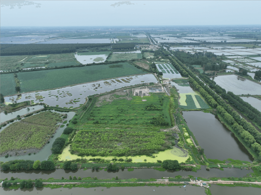 考古中国 | 江苏兴化草堰港遗址——7000年前滨海湿地型遗址的典型代表