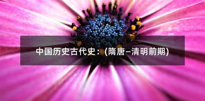 中国历史古代史：(隋唐―清明前期)