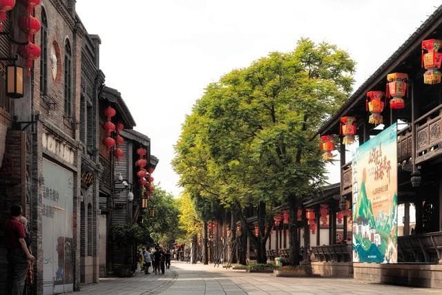 福建十大景点全攻略：从三坊七巷到武夷山
