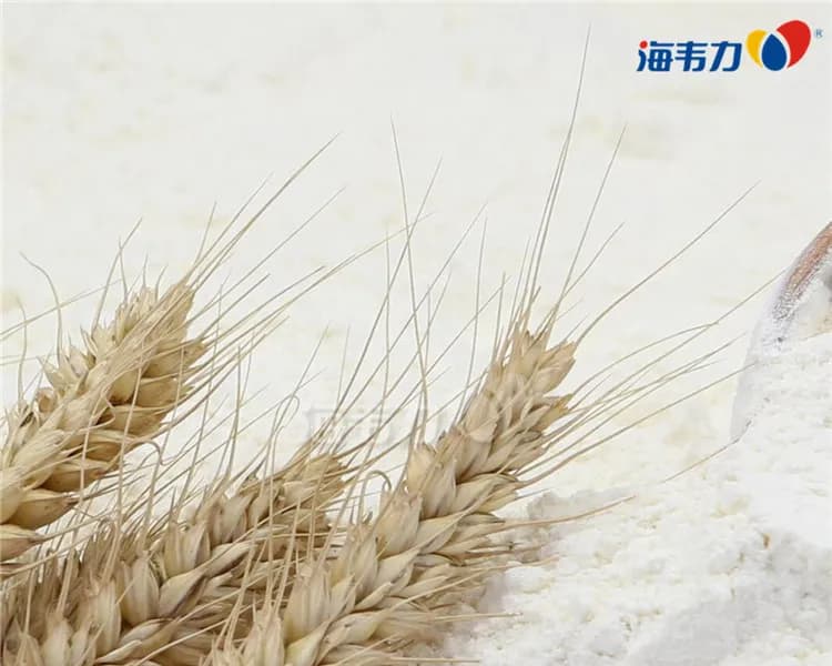 全麦粉的加工技术