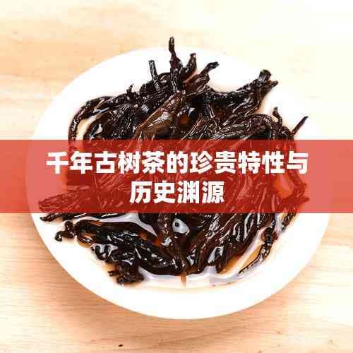 千年古树茶的珍贵特性与历史渊源