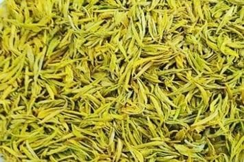 黄金芽的功效与作用