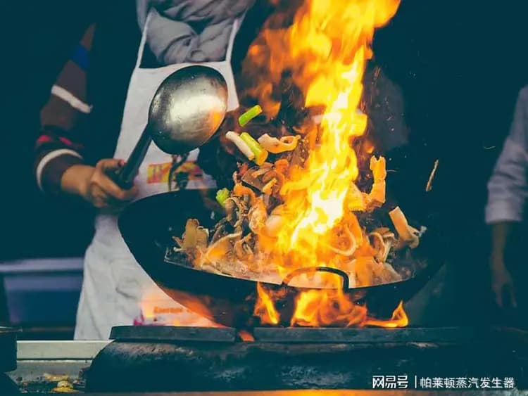 蒸汽发生器在消毒领域的运用作用有哪些？