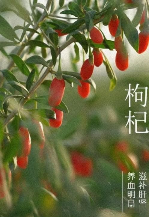 揭秘健康年货新趋势，推荐低卡、有机、养生的年货好物