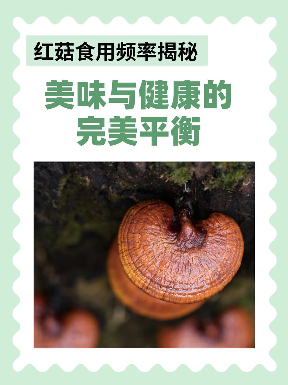 红菇食用频率揭秘：美味与健康的完美平衡
