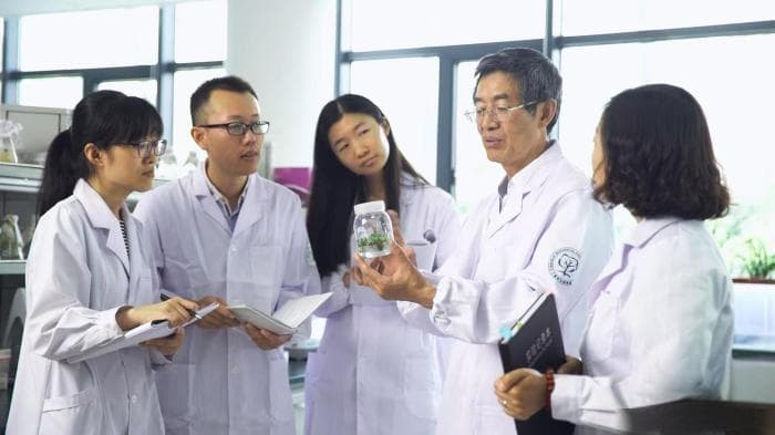辅酶Q10有了新的食物来源 中国专家成功培育辅酶Q10水稻新品种