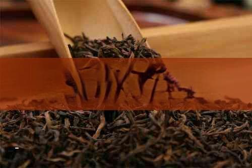 探究饮用普洱茶后尿液气味变化的原因及应对方法