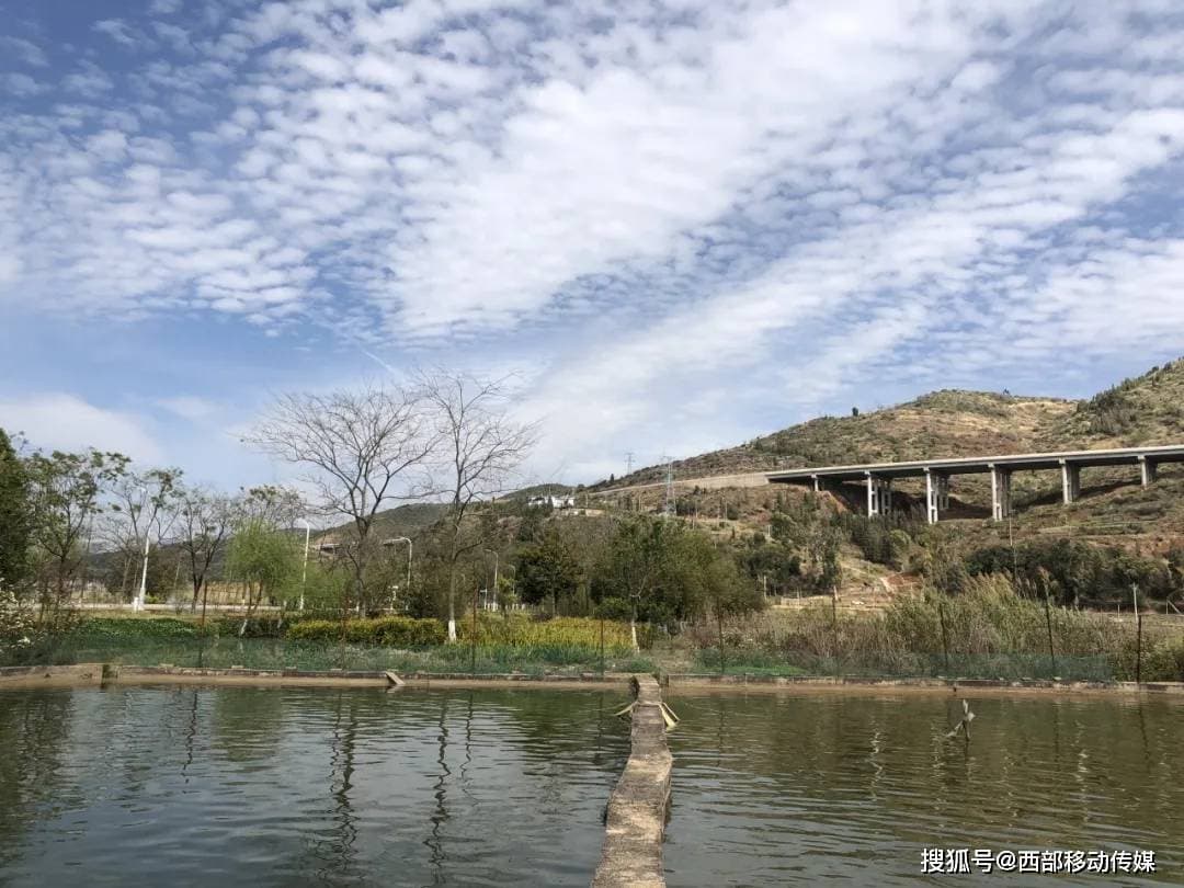江川鱼事：土著鱼类保护与开发利用