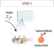 Luminex液相芯片技术原理及其在生物医学研究中的应用