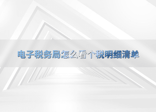 电子税务局怎么看个税明细清单