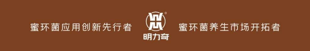 蜜环菌（榛蘑）的营养、药用功能及其物质基础研究