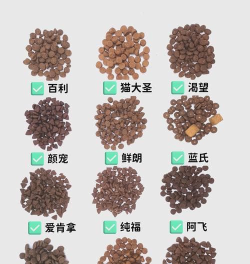 新养猫者必读：如何选择合适的猫粮及品牌推荐