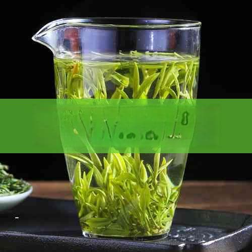文化与地理交汇：探索普洱茶的历史与地域特色