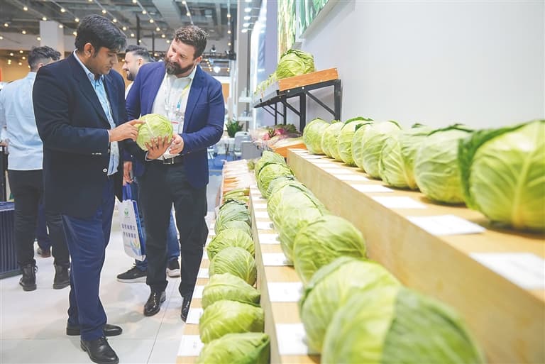 三亚：向种图强 全力打造自贸港科创高地