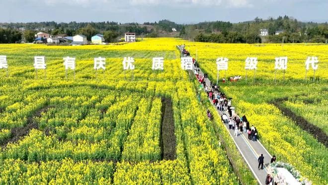渠县：油菜花田吃火锅 品尝春天的味道