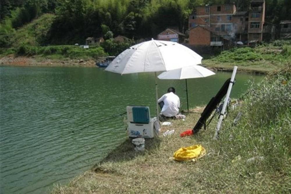 初夏野钓鲤鱼技巧，4个核心要点总结，帮你连竿上大鱼