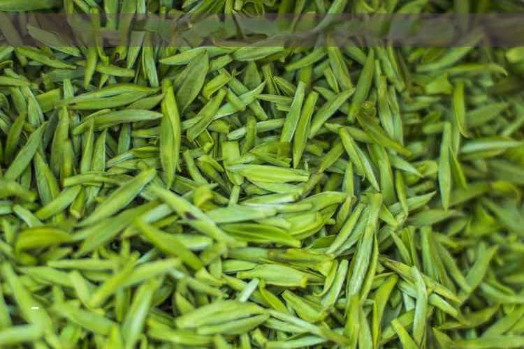 告别“上火”疑虑：黑茶的温和茶性与正确饮用法