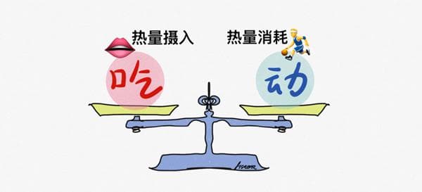 关于吃饭的三个知识点：平衡、营养素和饮食模式