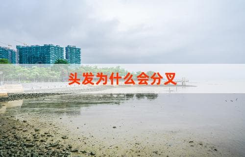 头发为什么会分叉？原因解析与应对建议