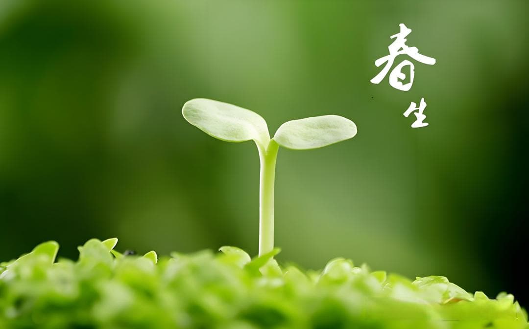 【心理科普】春季情绪波动与心理健康防护指南