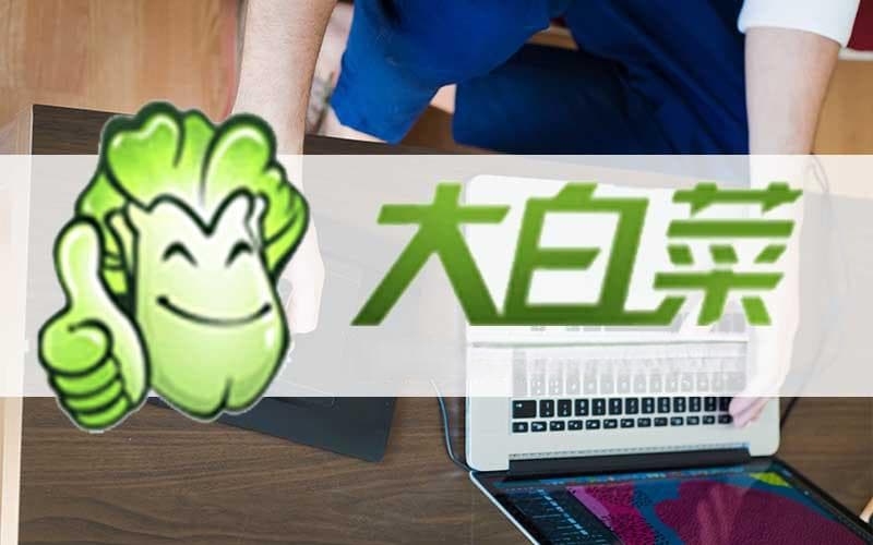 如何强制安装电脑系统(电脑配置低装系统方法)