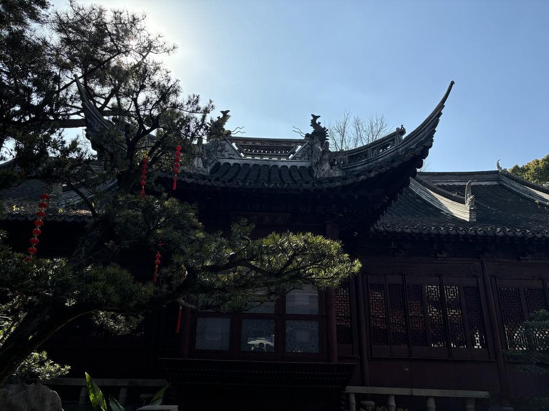 豫园：繁华都市中的江南园林宝藏！