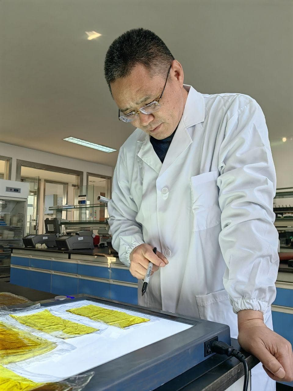 江苏扬州：钻研“农业芯片” 端稳“中国饭碗”