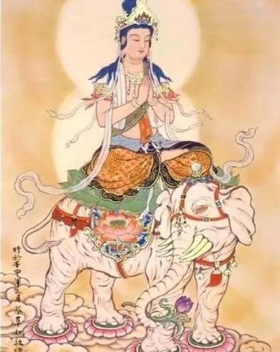普贤菩萨的来历与象征意义，在佛教中的地位是什么样的？