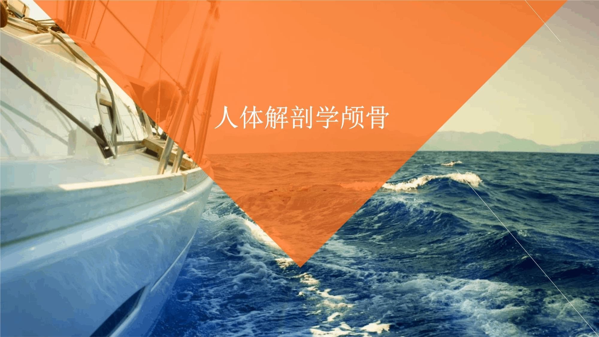 人体解剖学颅骨