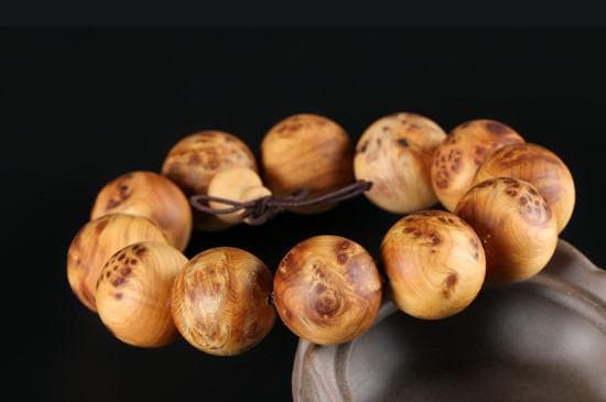 崖柏：生长在悬崖峭壁上的珍稀植物