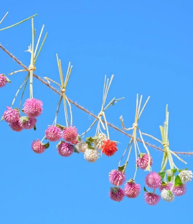精选21句暖心语录，总有一句触动你的心弦