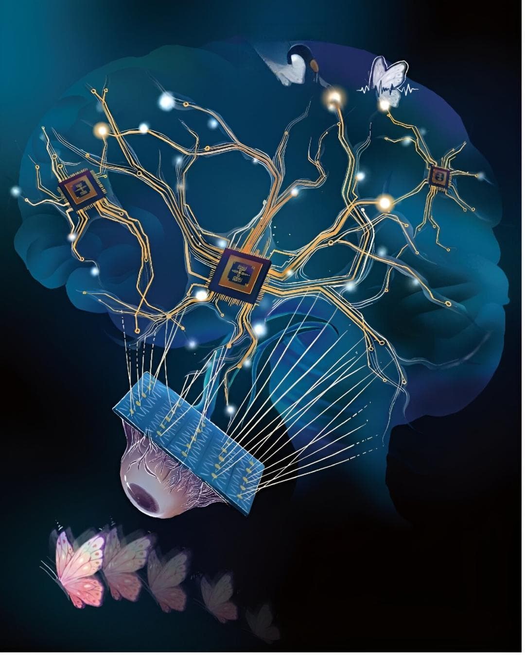 类脑计算模型登Nature子刊：受大脑启发的人工树突网络，实现高能效AI