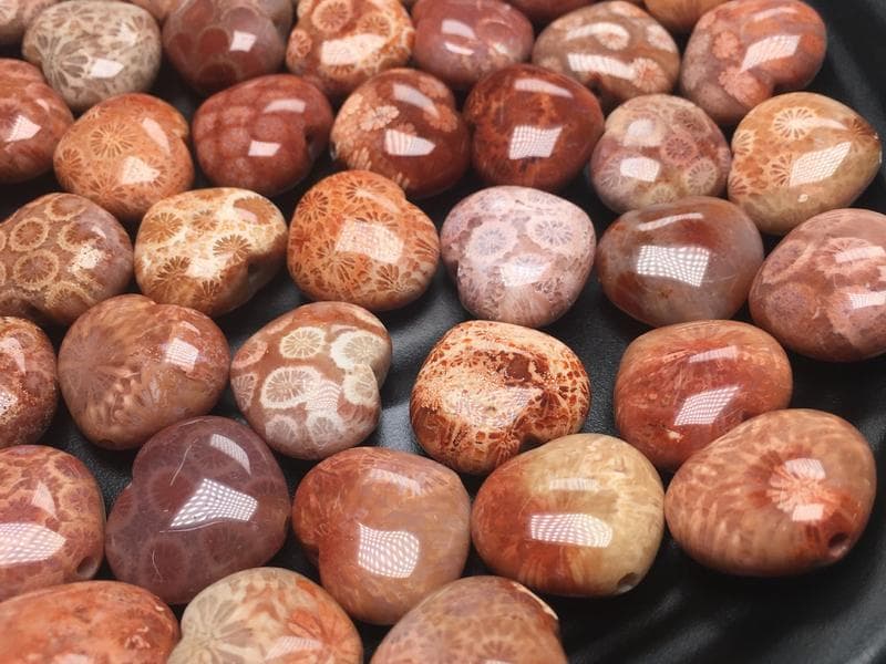 稀世珊瑚玉：菊花纹化石玉，未来收藏界黑马？