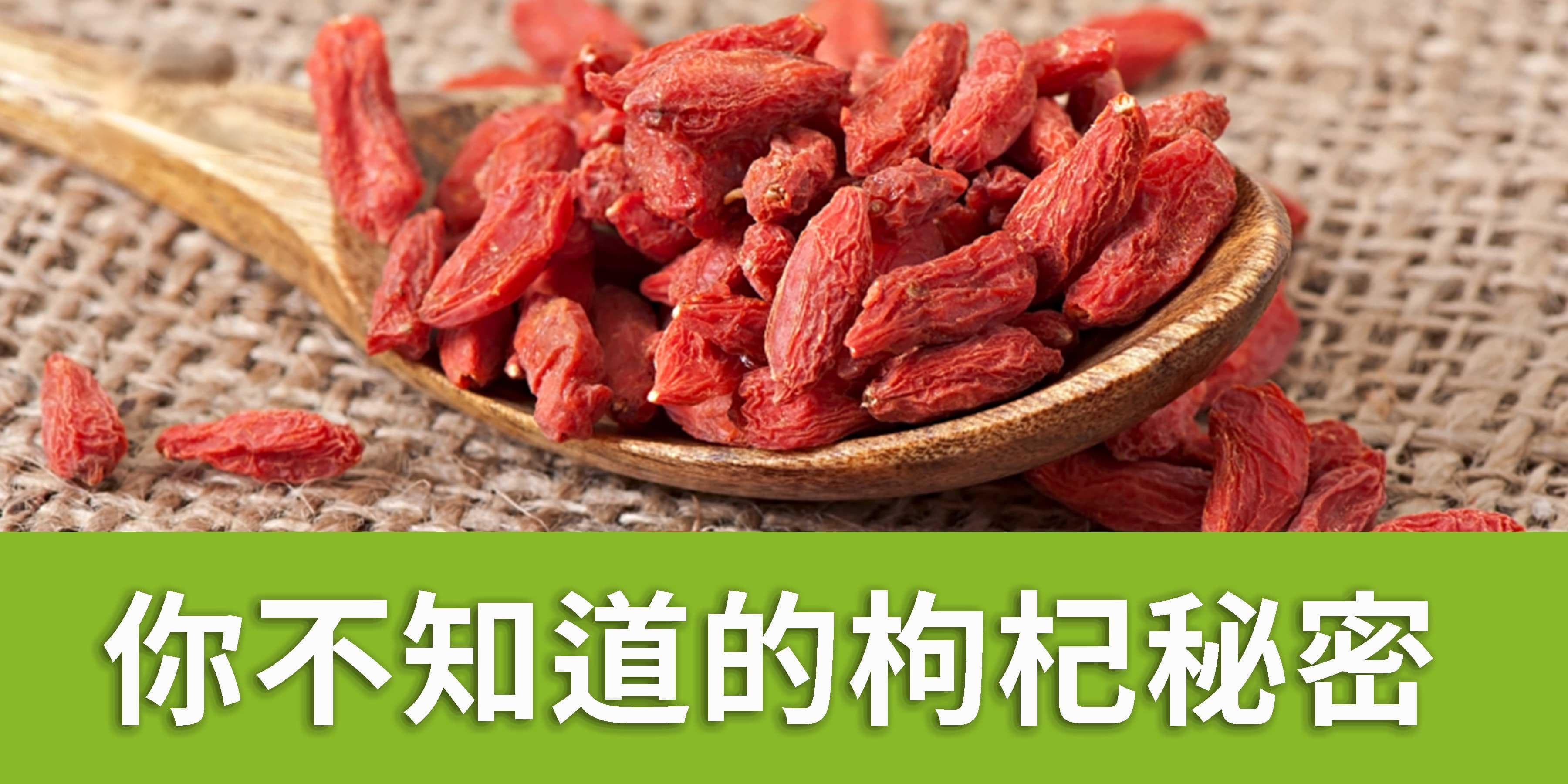 你不知道的枸杞秘密