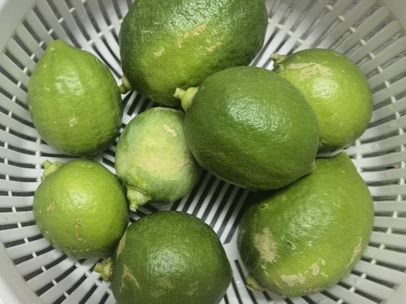 冰糖炖陈皮柠檬：一款简单有效的润肺止咳甜汤